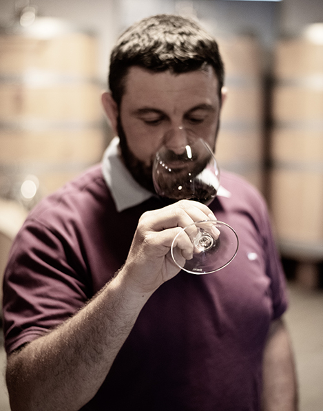 Paesaggio vitivinicolo delle Langhe